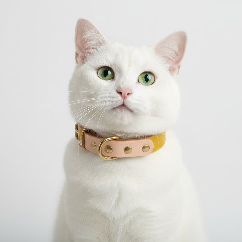 Portrait d'un chat blanc portant un collier en cuir synthétique jaune de haute qualité avec finitions métalliques dorées, isolé sur fond blanc, Palais Félin Paris.
