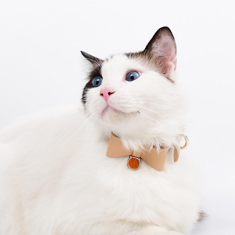 ​Portrait de face d'un chat blanc portant un collier en cuir avec nœud papillon et médaille orange, isolé sur fond blanc, élégance Palais Félin Paris.