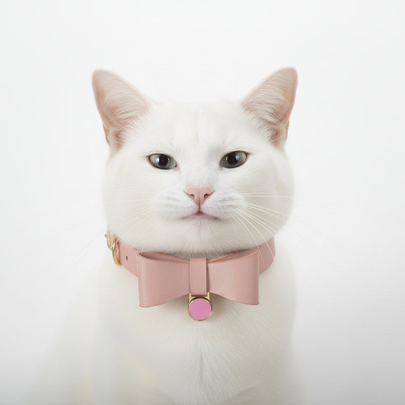 Portrait d'un chat blanc portant un collier en cuir rose poudré avec nœud papillon et médaille dorée, isolé sur fond blanc, Palais Félin Paris.