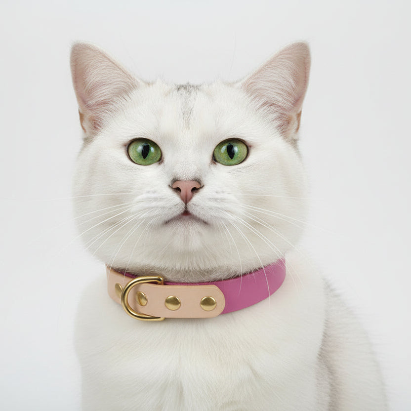 ​Portrait d'un chat blanc portant un collier en cuir synthétique rose de haute qualité avec finitions métalliques dorées et médaillon central, isolé sur fond blanc, Palais Félin Paris.