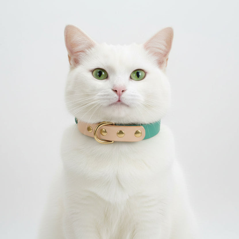 ​Portrait d'un chat blanc portant un collier en cuir synthétique vert de haute qualité avec finitions métalliques dorées et médaillon central, isolé sur fond blanc, Palais Félin Paris.