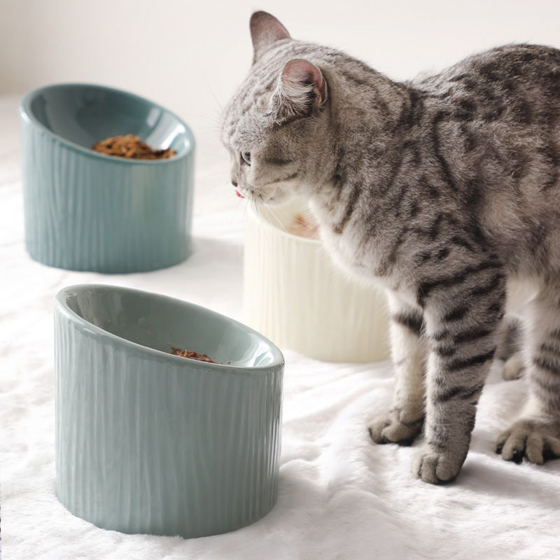 ​Un élégant chat gris tigré s'apprête à manger dans une collection de trois gamelles au design artisanal en poterie de céramique véritable, aux tons naturels terracotta et beige moucheté, disposées sur un tapis blanc épuré, signée Palais Félin Paris.