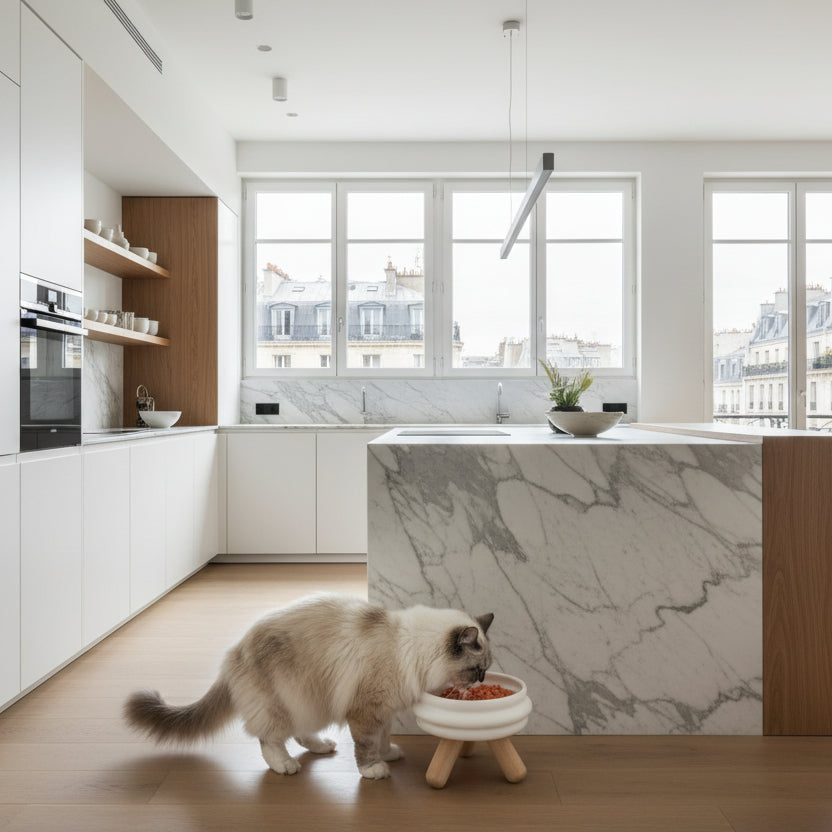 ​Un élégant chat de race mangeant dans une gamelle individuelle au design épuré en céramique blanche, posée sur son support en bois clair dans une cuisine de luxe parisienne, signée Palais Félin Paris.