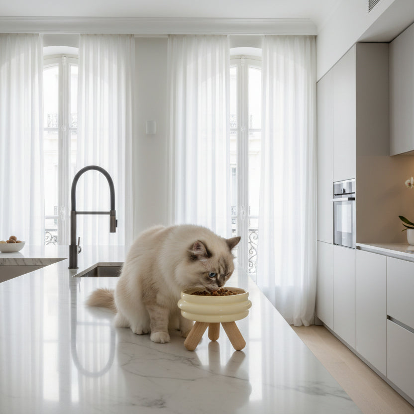 ​Un élégant chat de race mangeant dans une gamelle individuelle au design vibrant en céramique jaune, posée sur son support en bois clair dans une cuisine de luxe parisienne, signée Palais Félin Paris.