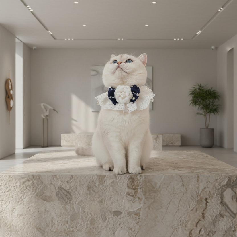 ​Collier pour chat Blanc Perle avec fleur en tissu et perles porté par un chat sur un socle en pierre dans un intérieur de standing - Palais Félin Paris.