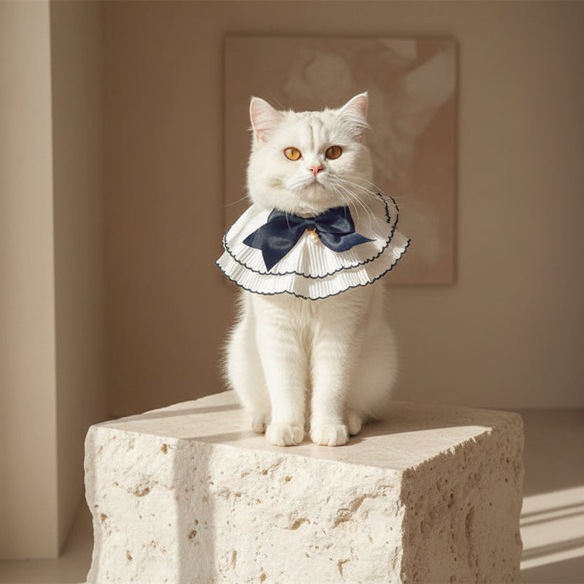 ​Collier pour chat Bleu Minuit avec perle centrale et liseré noir porté par un chat sur un socle en pierre élégant - Palais Félin Paris.