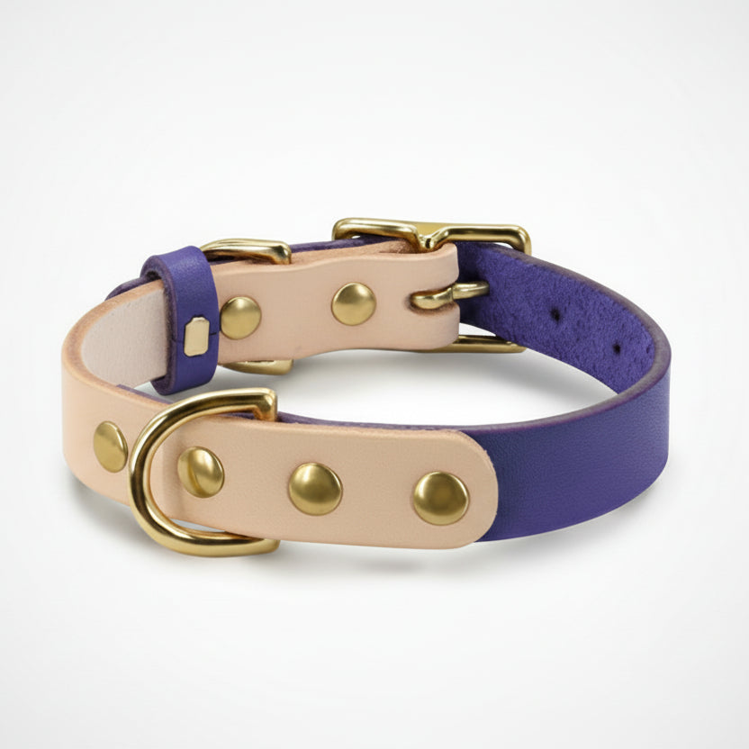 Collier pour chat en cuir synthétique bleu de haute qualité avec finitions métalliques dorées et médaillon central, Palais Félin Paris.