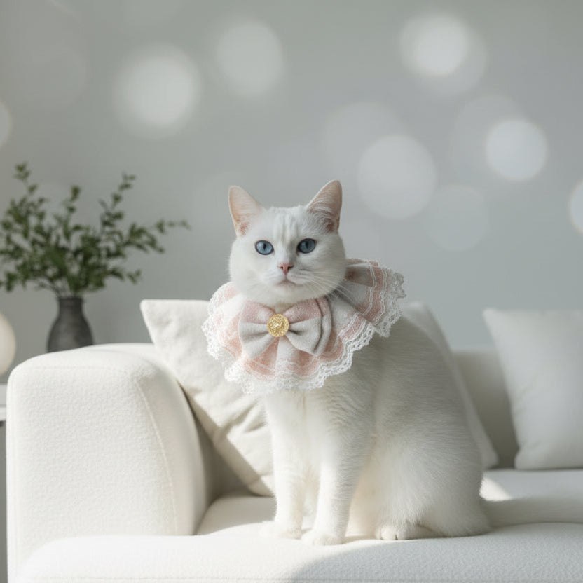 ​ Portrait d'un chat blanc de prestige portant son collier rose poudré avec petit nœud papillon et perle, posé sereinement sur un canapé blanc minimaliste. Palais Félin Paris.

