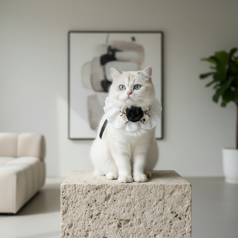 ​Collier pour chat Noir Onyx avec rose en tissu porté par un chat sur un socle en pierre dans un appartement de luxe - Palais Félin Paris.