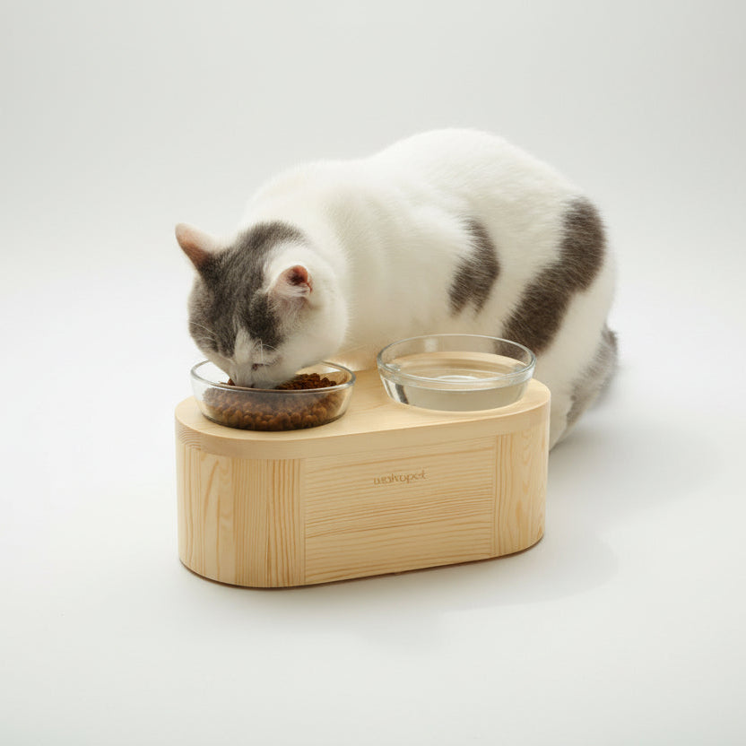 Un chat noir et blanc est photographié de dos, mangeant des croquettes dans l'un des deux bols en verre trempé d'un support de gamelle double surélevé en bois naturel clair. L'objet est présenté sous un angle de trois quarts face sur un fond blanc uni. Collaboration Wakupet x Palais Félin Paris.