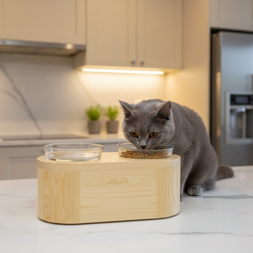 Un chat gris élégant mange dans une gamelle double surélevé en bois naturel et verre trempé, installée dans une cuisine de luxe moderne et lumineuse au décor raffiné, collaboration Wakupet x Palais Félin Paris.
