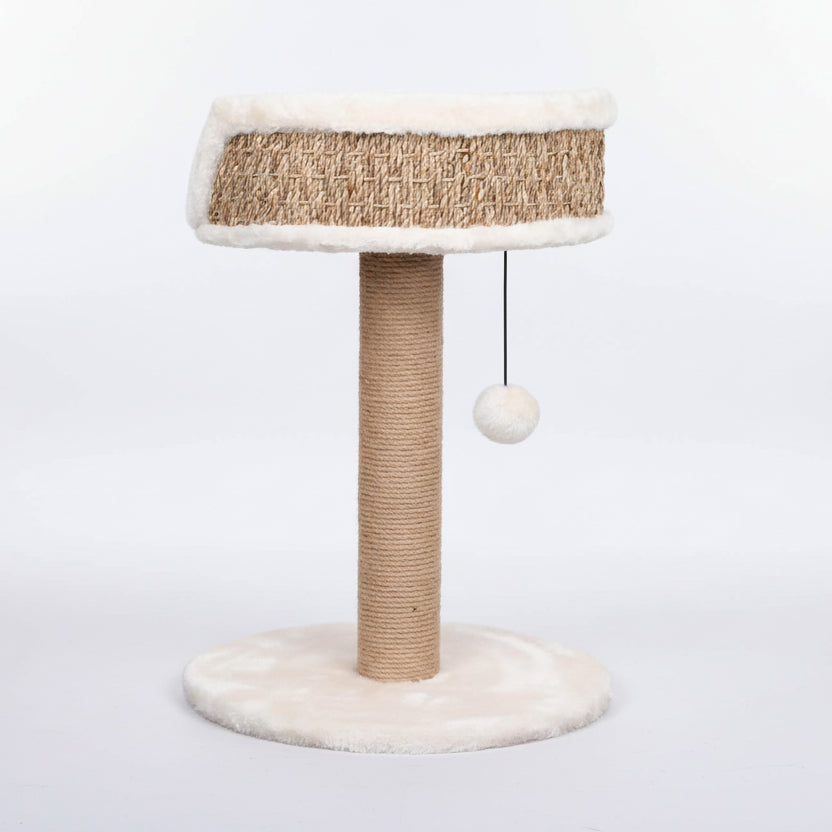 ​Vue arrière du griffoir design pour chat en jonc de mer tressé, finitions haut de gamme, Palais Félin Paris.