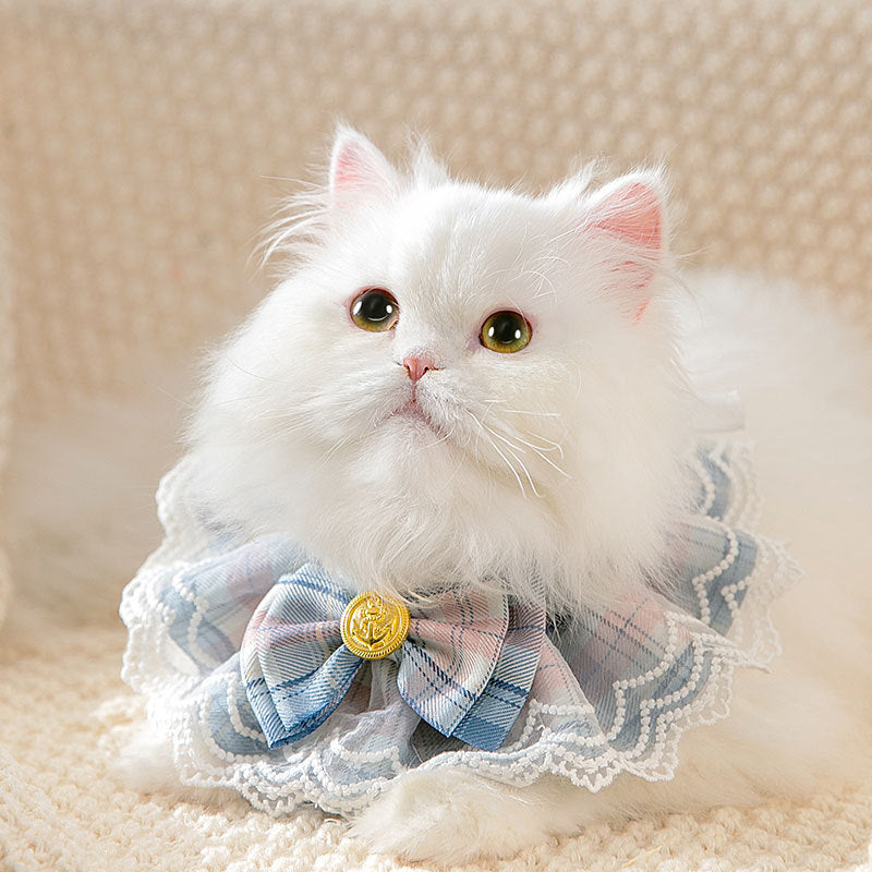 ​Portrait élégant d'un chat portant le collier en tissu bleu saphir avec son petit nœud papillon et sa perle, allongé confortablement sur un canapé rose poudré doux. Palais Félin Paris.