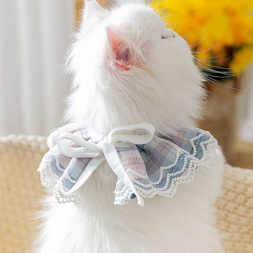 Vue de dos d'un chat élégant portant son collier en tissu bleu saphir avec son petit nœud papillon parfaitement ajusté sur la nuque, allongé sur un canapé rose poudré doux, Palais Félin Paris.
